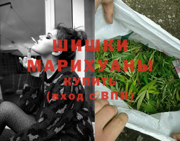 тгк Горнозаводск