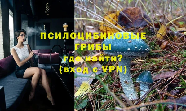 тгк Горнозаводск