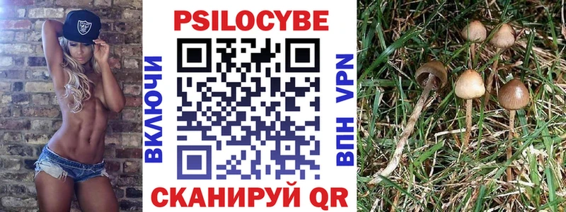 Галлюциногенные грибы Psilocybe  Черногорск 